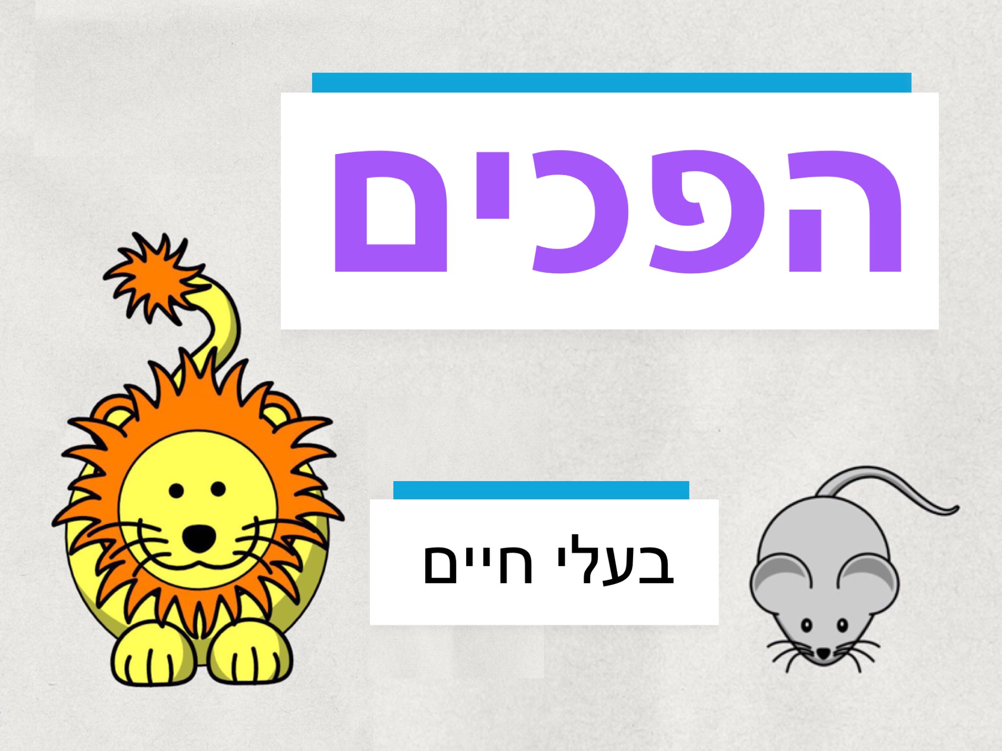 הפכים - בעלי חיים by Shiri Pinkas